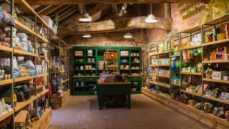 Image shows children's books and toys on shelves in the shop